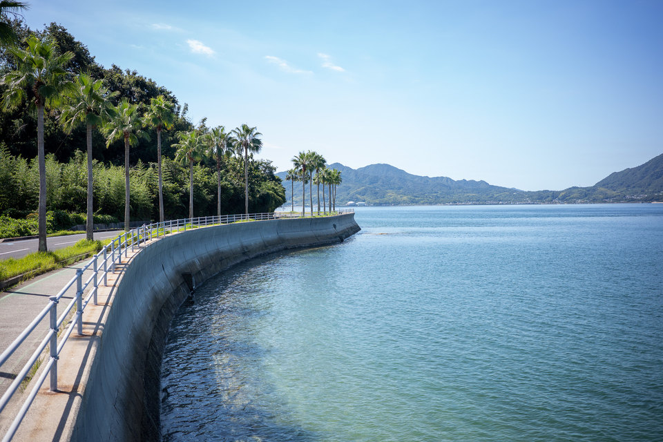 ヤシの木が並ぶ、海沿いの道。