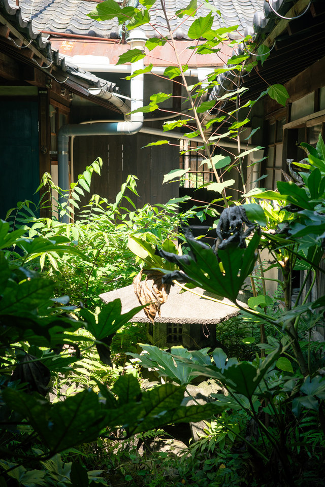 瓦屋根に囲まれた、小さな庭。