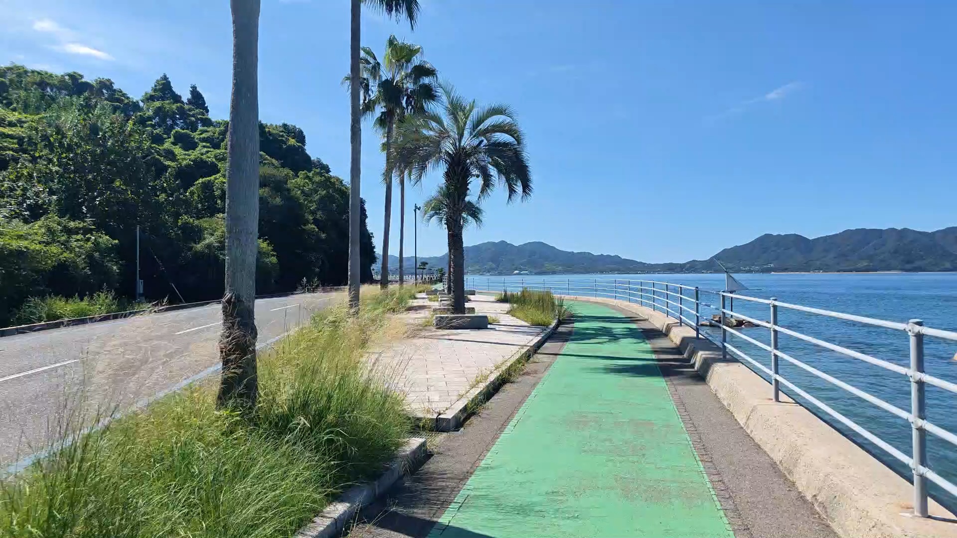 緑の遊歩道