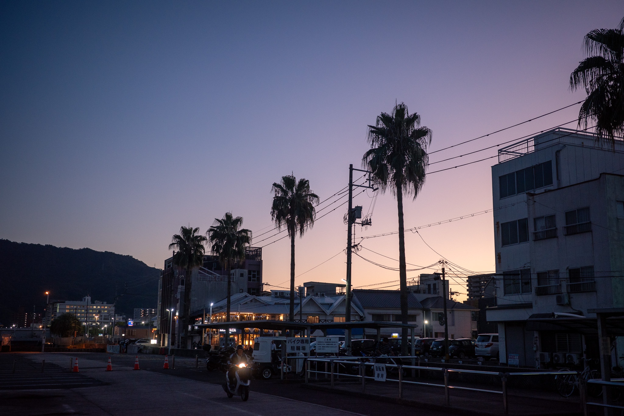 夕方の三原港。空を背景に並ぶヤシの木と港の建物